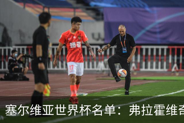 塞尔维亚世界杯名单：弗拉霍维奇领衔 古德利在列